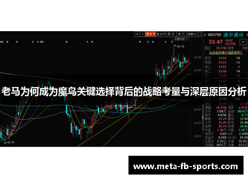 老马为何成为魔鸟关键选择背后的战略考量与深层原因分析