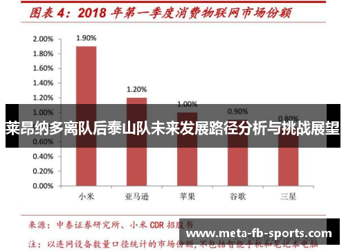 莱昂纳多离队后泰山队未来发展路径分析与挑战展望