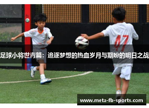 足球小将世青篇：追逐梦想的热血岁月与期盼的明日之战