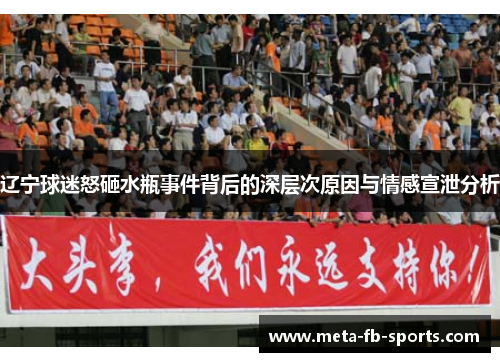 辽宁球迷怒砸水瓶事件背后的深层次原因与情感宣泄分析